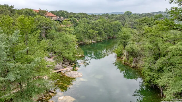 a view of a lake with a lush green forest