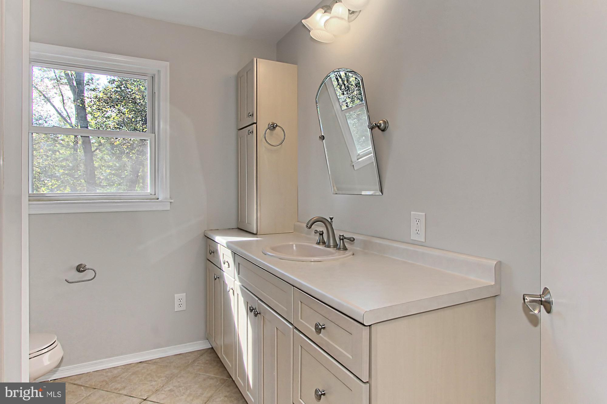 526 Utterback Store Road Great Falls, VA 22066 - Photo 43 of 63 Full Bath