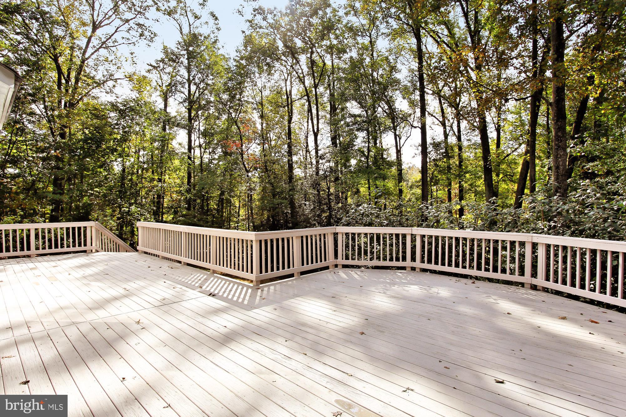 526 Utterback Store Road Great Falls, VA 22066 - Photo 53 of 63 Deck