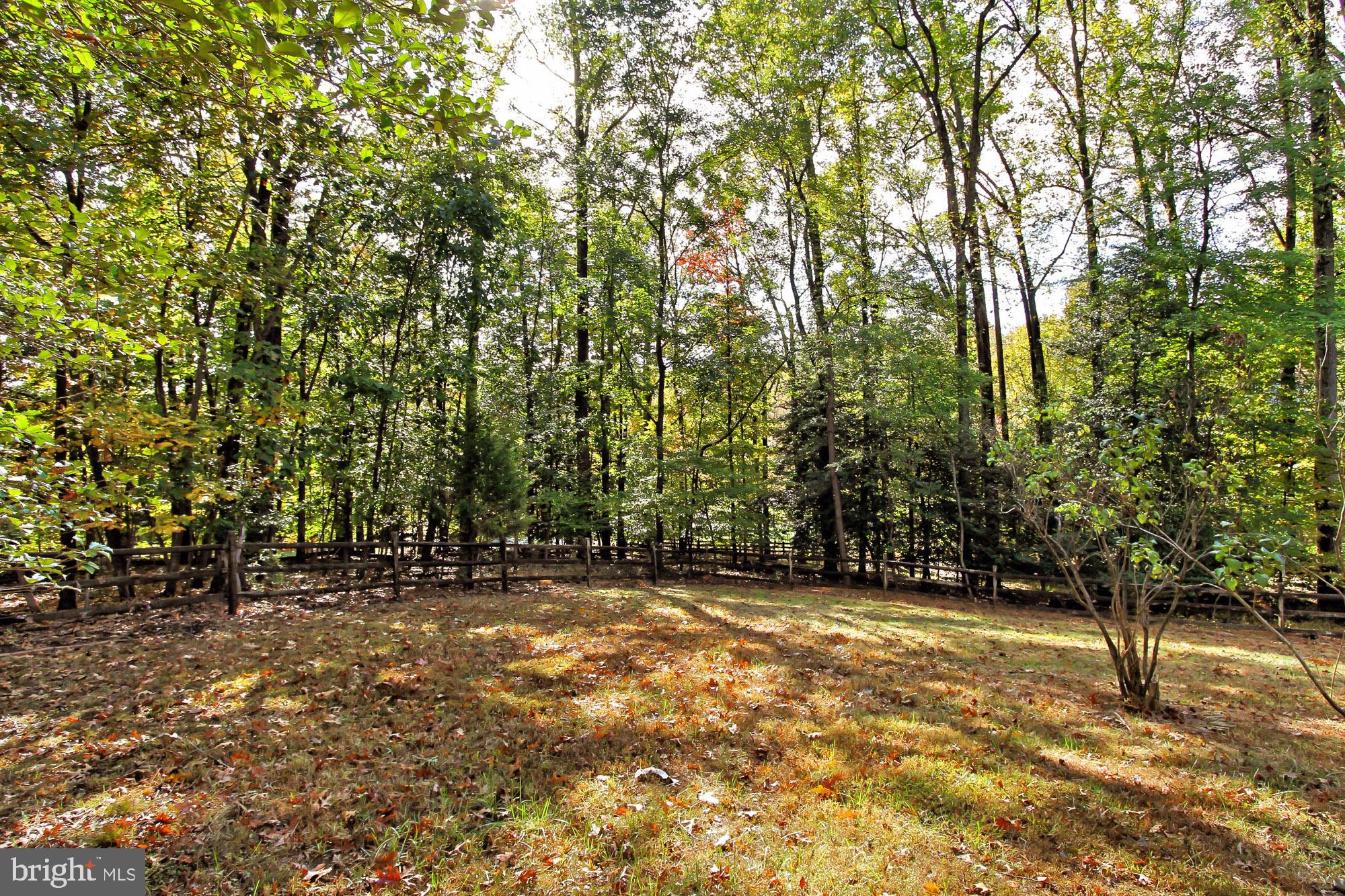 526 Utterback Store Road Great Falls, VA 22066 - Photo 61 of 63 Yard