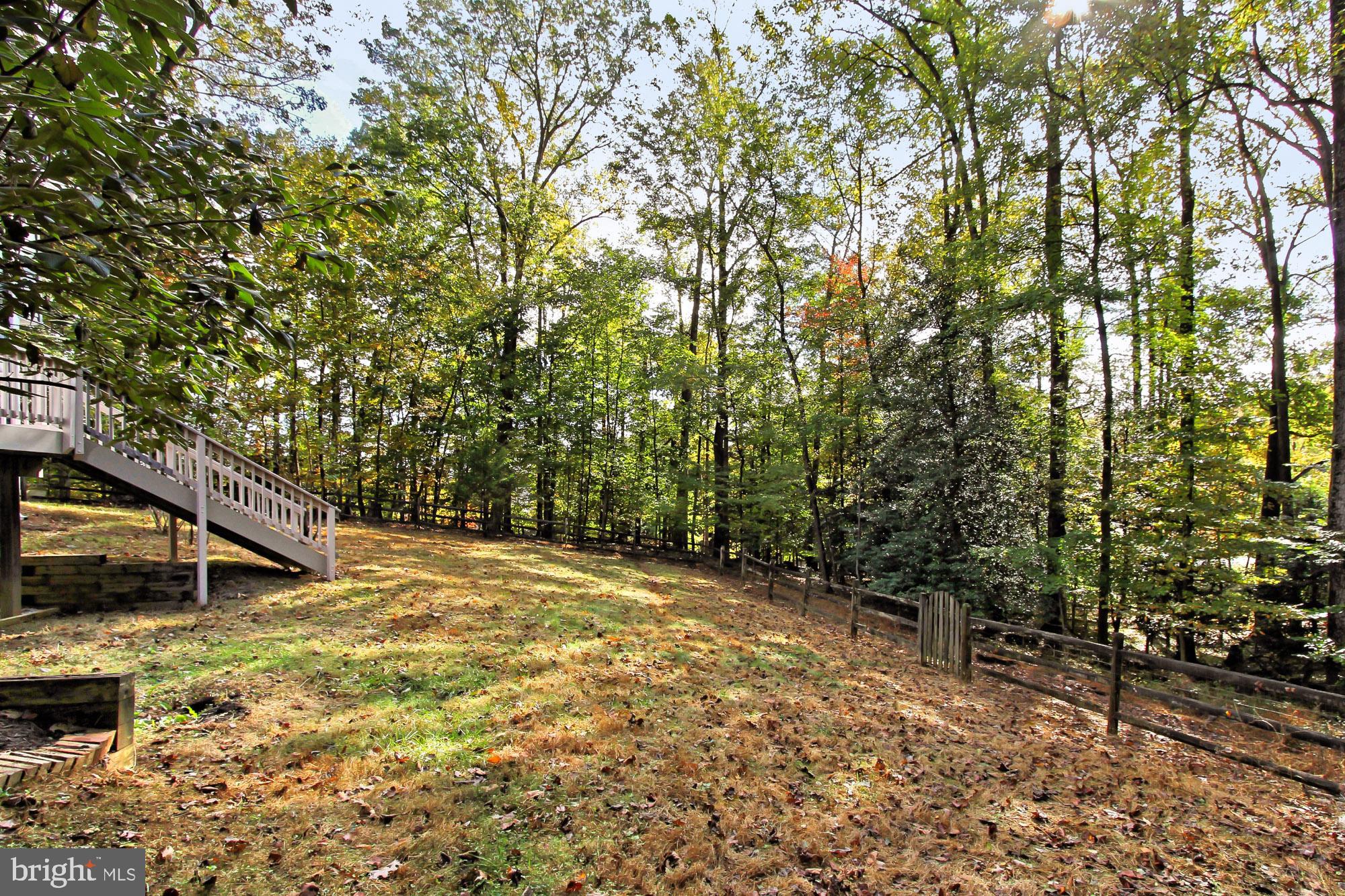 526 Utterback Store Road Great Falls, VA 22066 - Photo 62 of 63 Yard