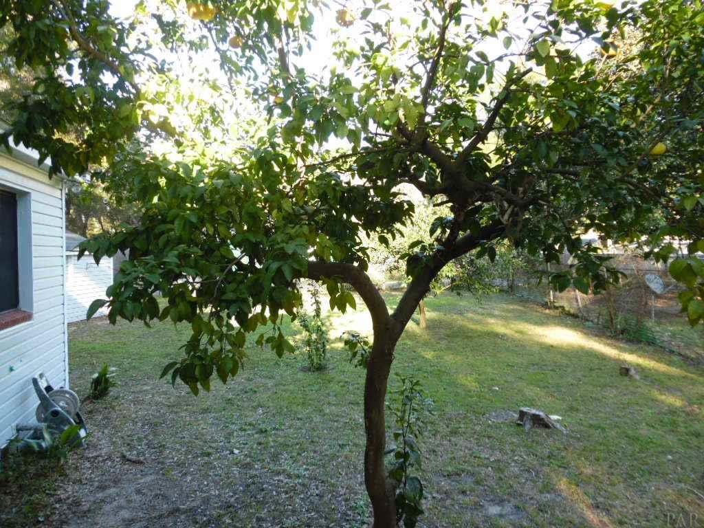 10 Sullivan Road Pensacola, FL 32507 - Photo 39 of 43