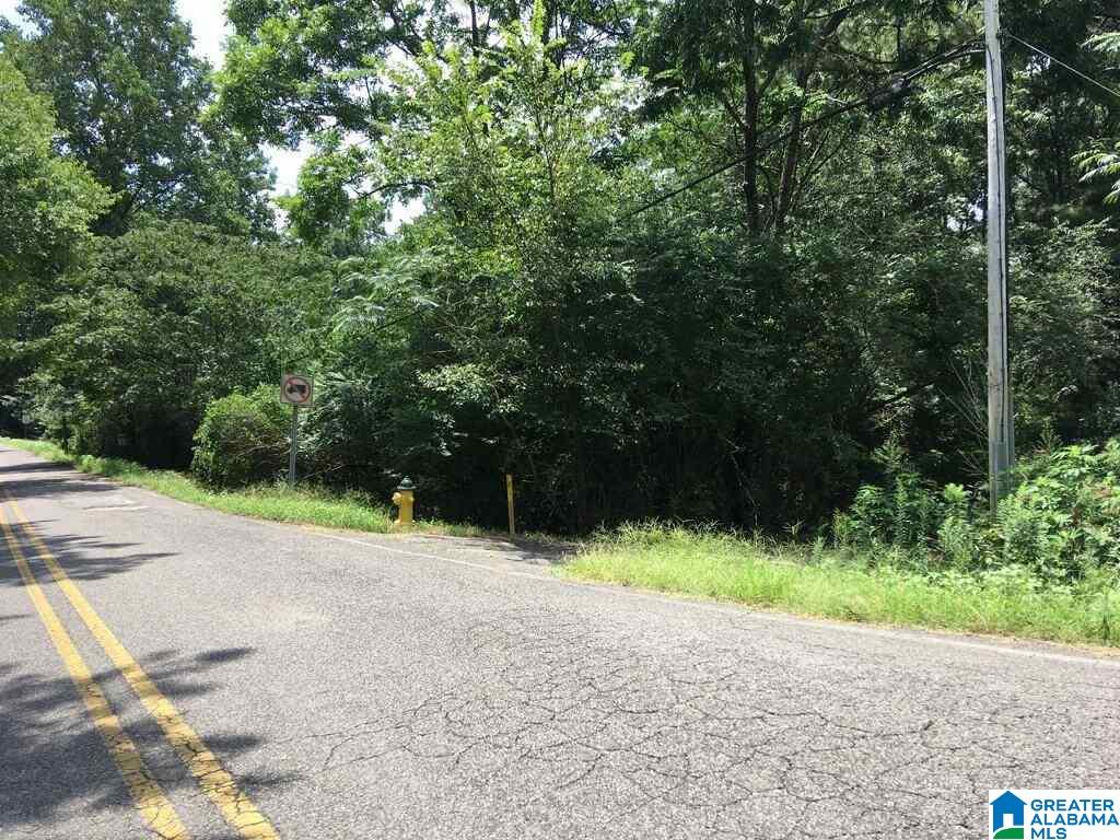 5119 Amber Hills Road Birmingham, AL 35210 - Photo 2 of 2
