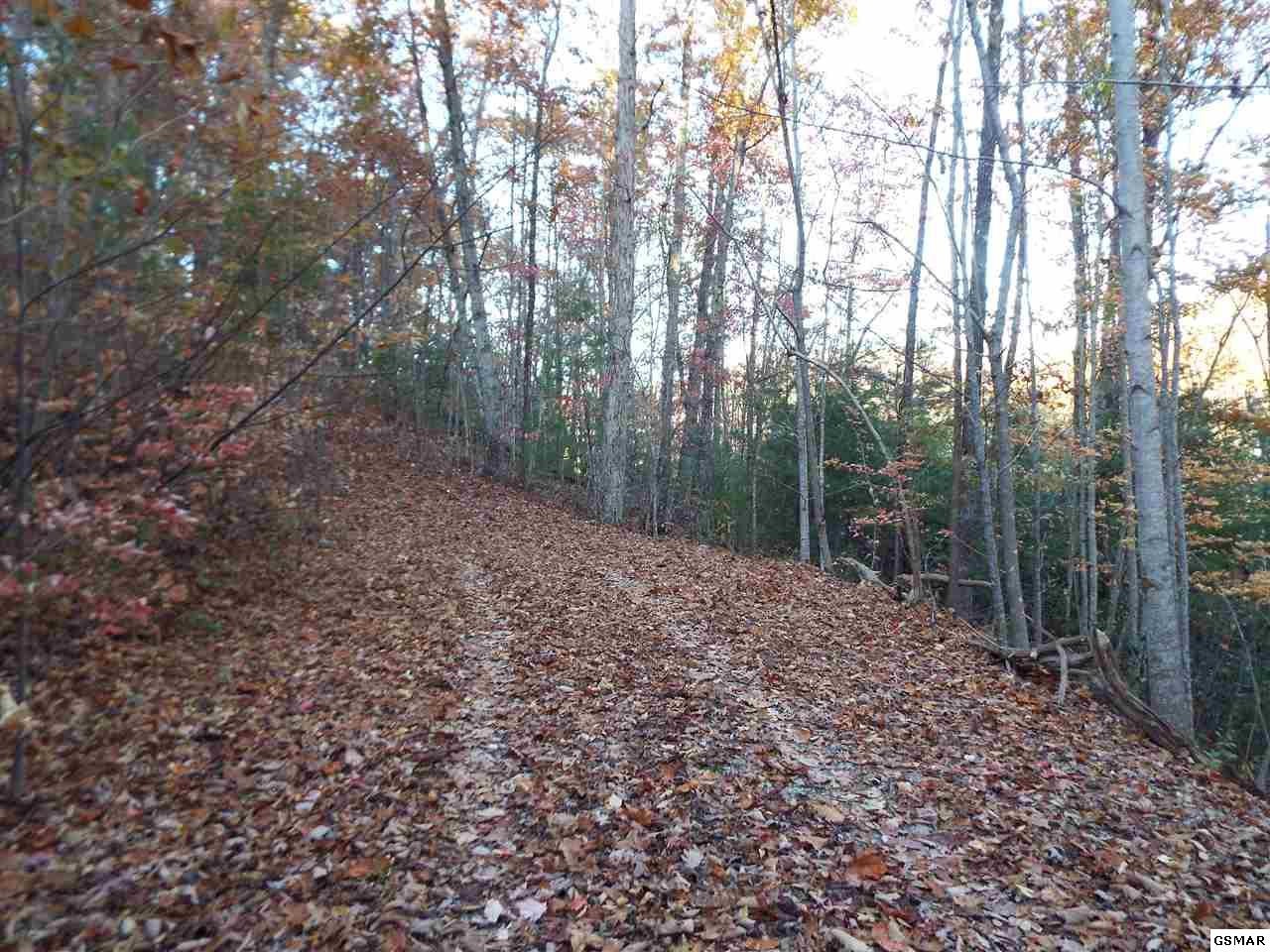 55 Whetstone Road Sevierville, TN 37862 - Photo 3 of 11 Gallery Image 3