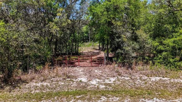 $82,500 | 34281 Umbrella Rock Drive, Webster, FL 33597