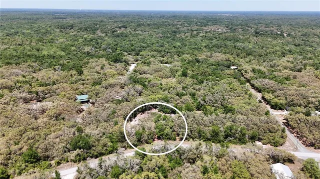 a aerial view of a house with a yard