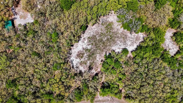 a view of a tree with a yard