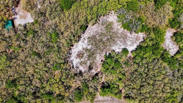 a view of a tree with a yard