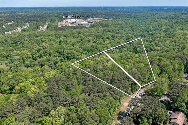 with a potted plant in front of a door