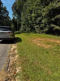 53 Springvalley Circle Stockbridge, GA 30281 - Photo 6 of 6