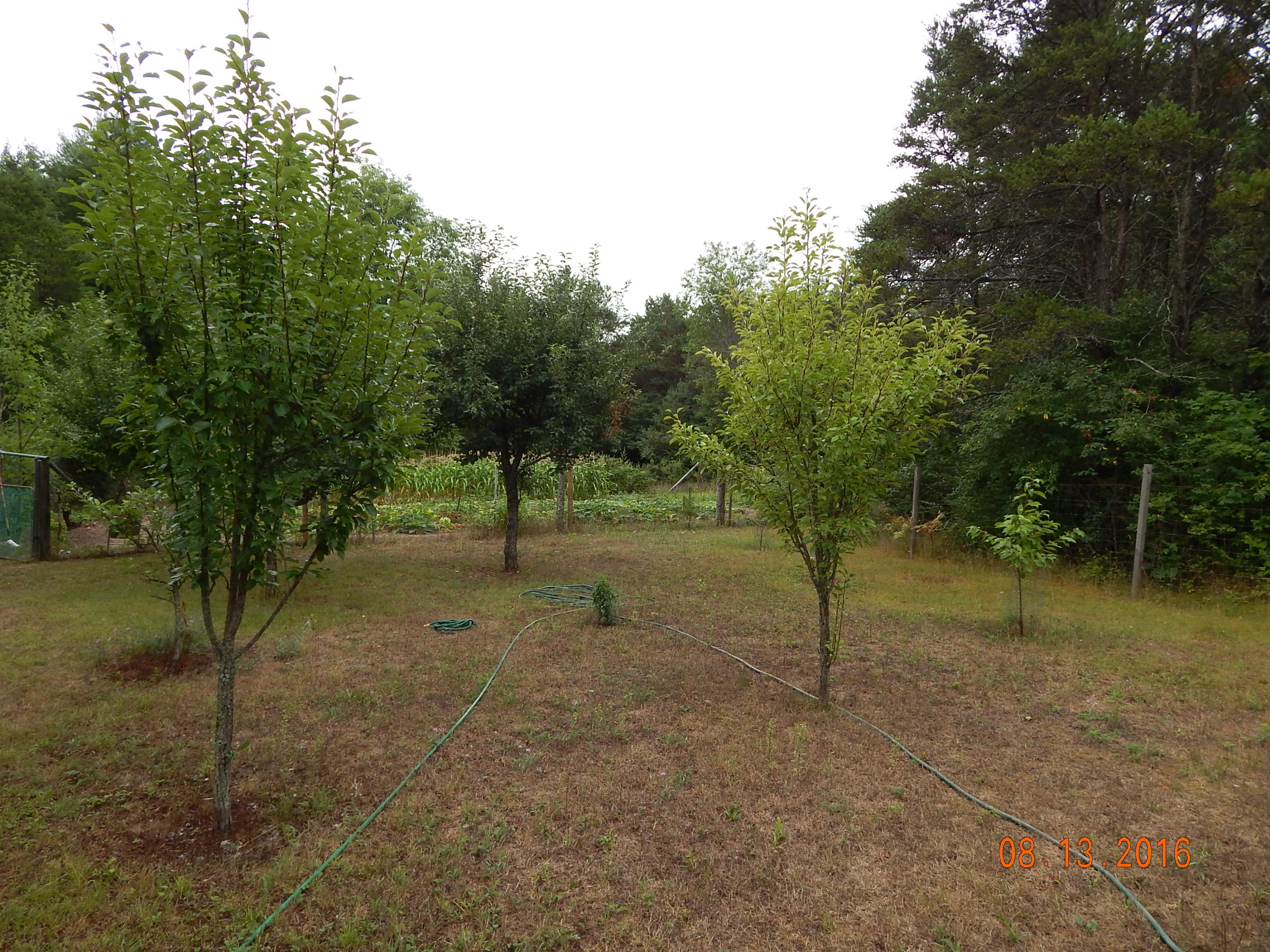 3040 McNeil Road Lincoln, MI 48742 - Photo 24 of 29 Gallery Image 24