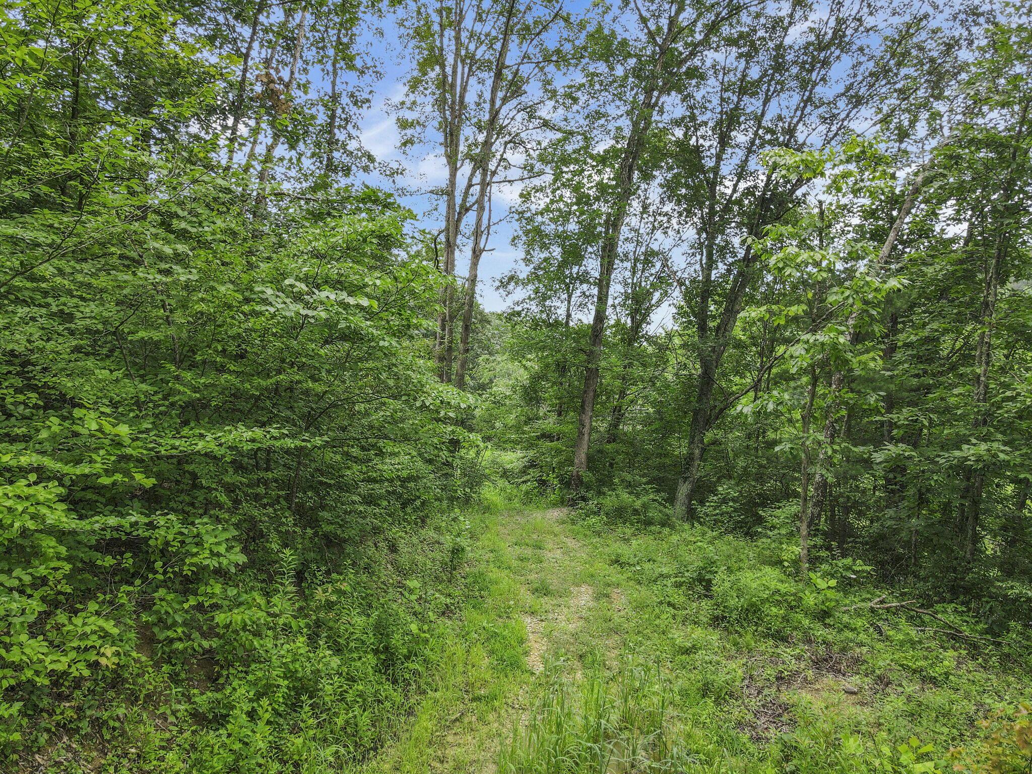 0 Greens Run Road Glouster, OH 45732 - Photo 97 of 121 97-web-or-mls-DJI_0387