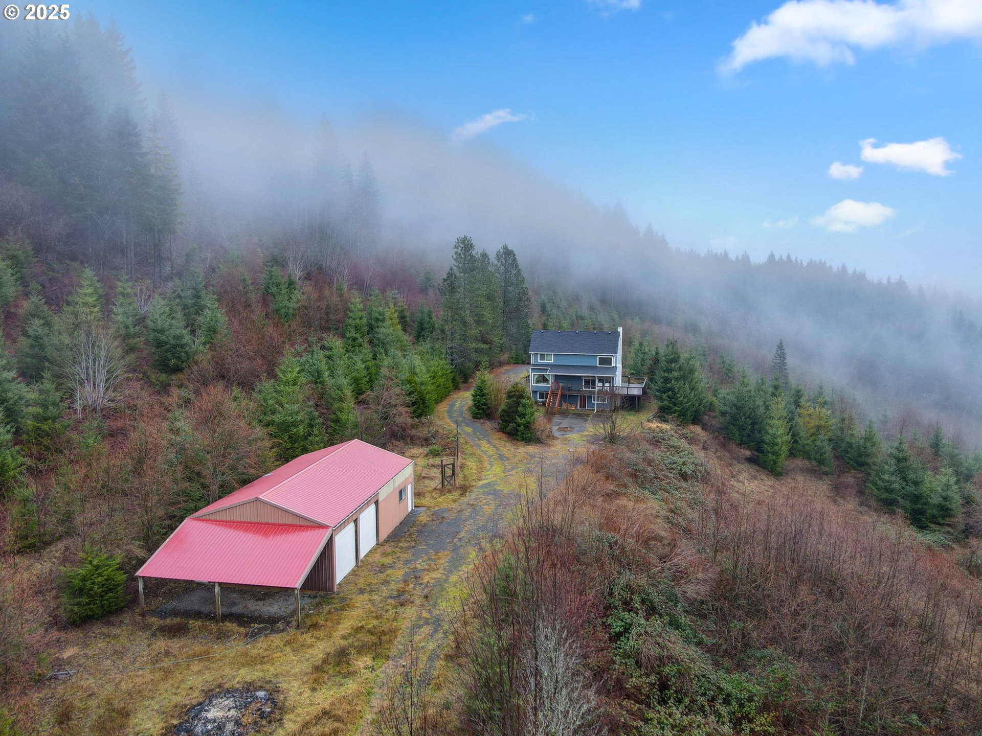 43907 Northeast Columbia Tie Road Amboy, WA 98601 - Photo 31 of 42 a view of a yard with mountain