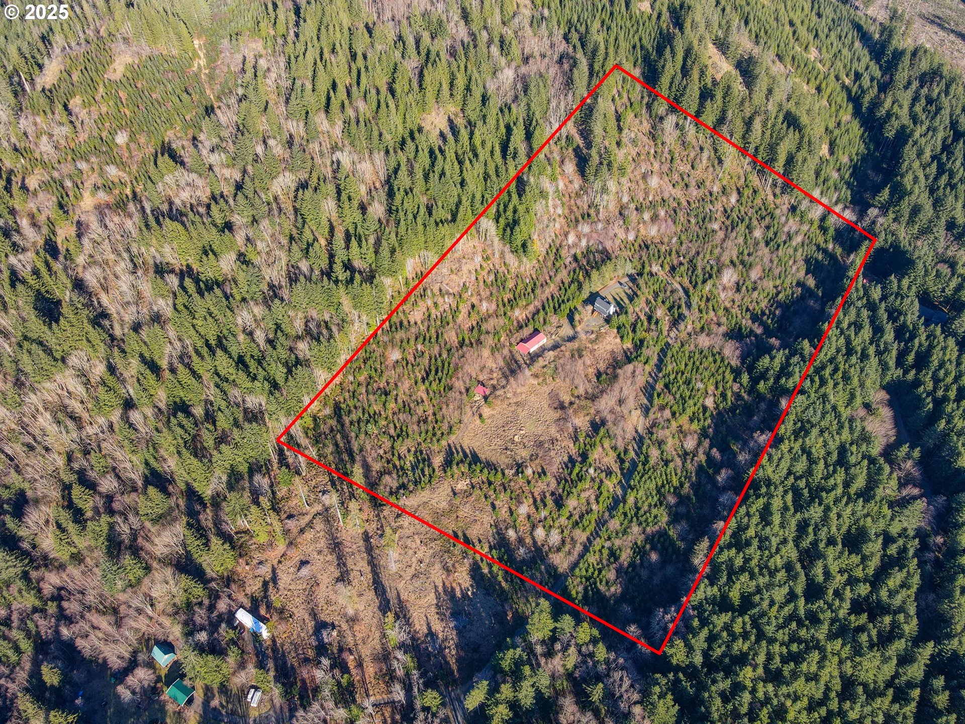43907 Northeast Columbia Tie Road Amboy, WA 98601 - Photo 38 of 42