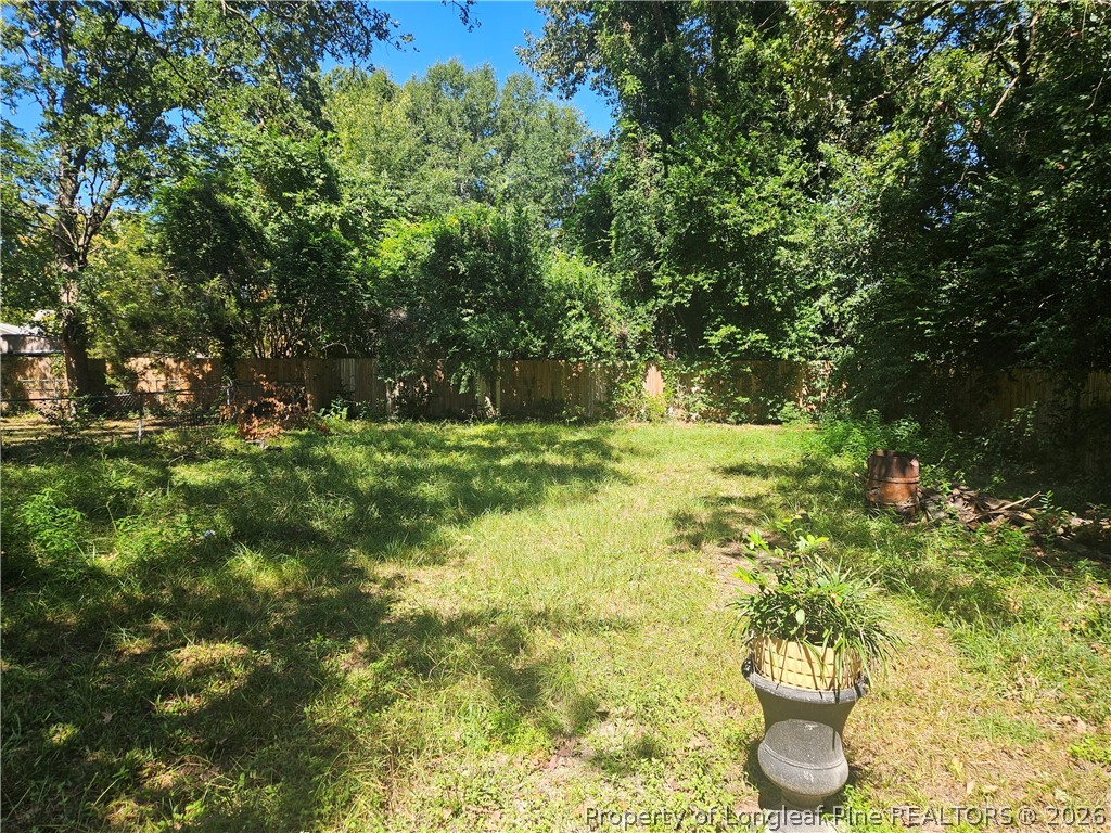 811 Anarine Road Fayetteville, NC 28303 - Photo 12 of 19 Backyard