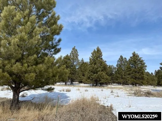 $579,000 | 46 B Two Pipe Trail, Sundance, WY 82729