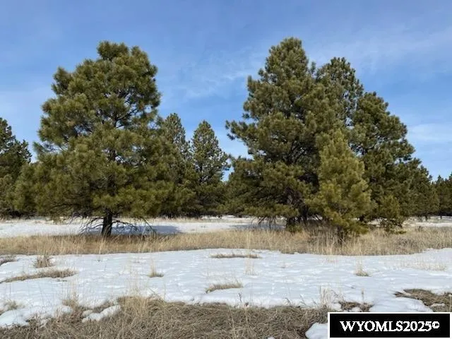 $579,000 | 46 B Two Pipe Trail, Sundance, WY 82729