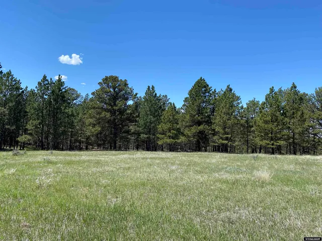 $579,000 | 46 B Two Pipe Trail, Sundance, WY 82729
