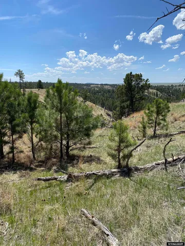 $579,000 | 46 B Two Pipe Trail, Sundance, WY 82729