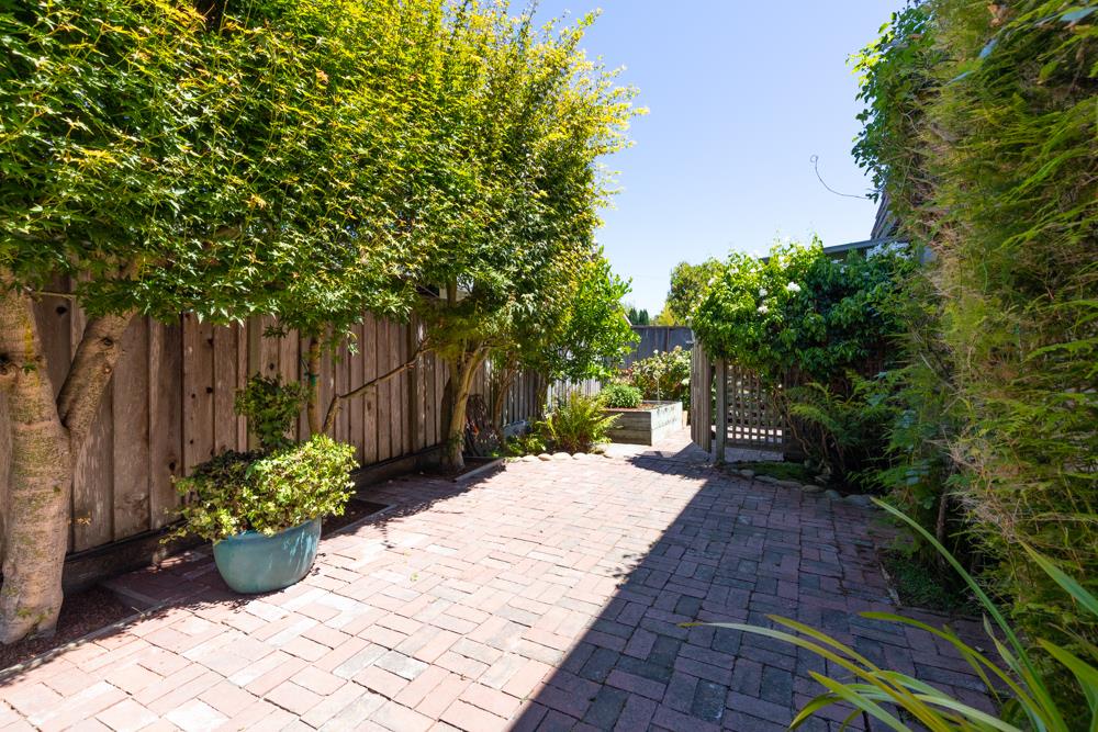439 Cliff Drive Aptos, CA 95003 - Photo 16 of 29 a view of a backyard with potted plants and large trees