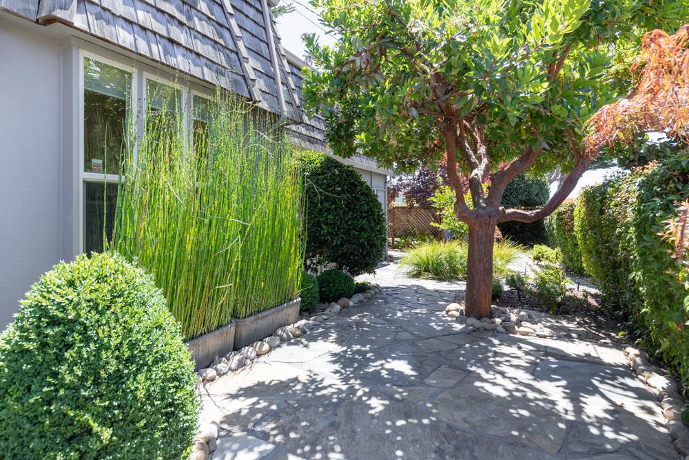 439 Cliff Drive Aptos, CA 95003 - Photo 18 of 29 a view of a back yard