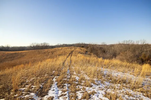 $1,150,000 | 13350 Dowling Lane, Platte City, MO 64079