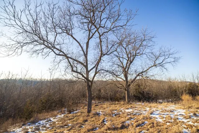 $1,150,000 | 13350 Dowling Lane, Platte City, MO 64079