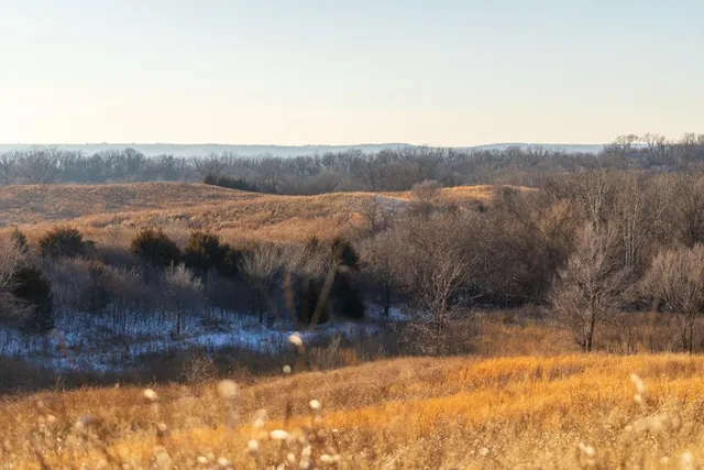 $1,150,000 | 13350 Dowling Lane, Platte City, MO 64079