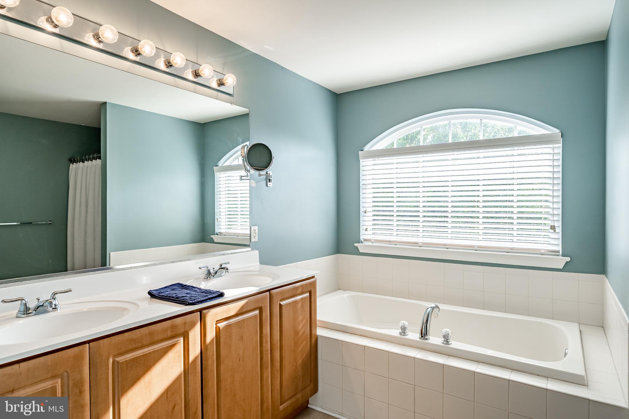 108 Hydrangea Way Coatesville, PA 19320 - Photo 30 of 47 Large and bright Primary bathroom