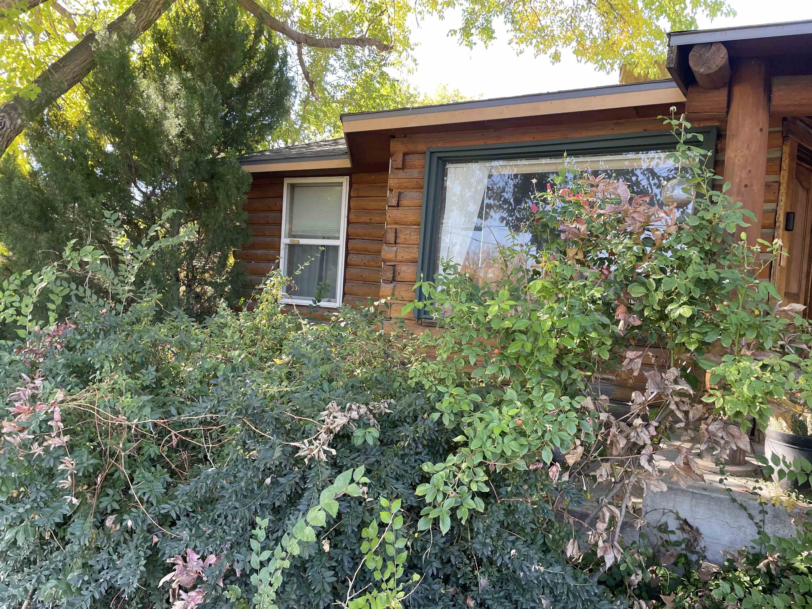 751-26 26 1/2 Road Grand Junction, CO 81506 - Photo 3 of 10