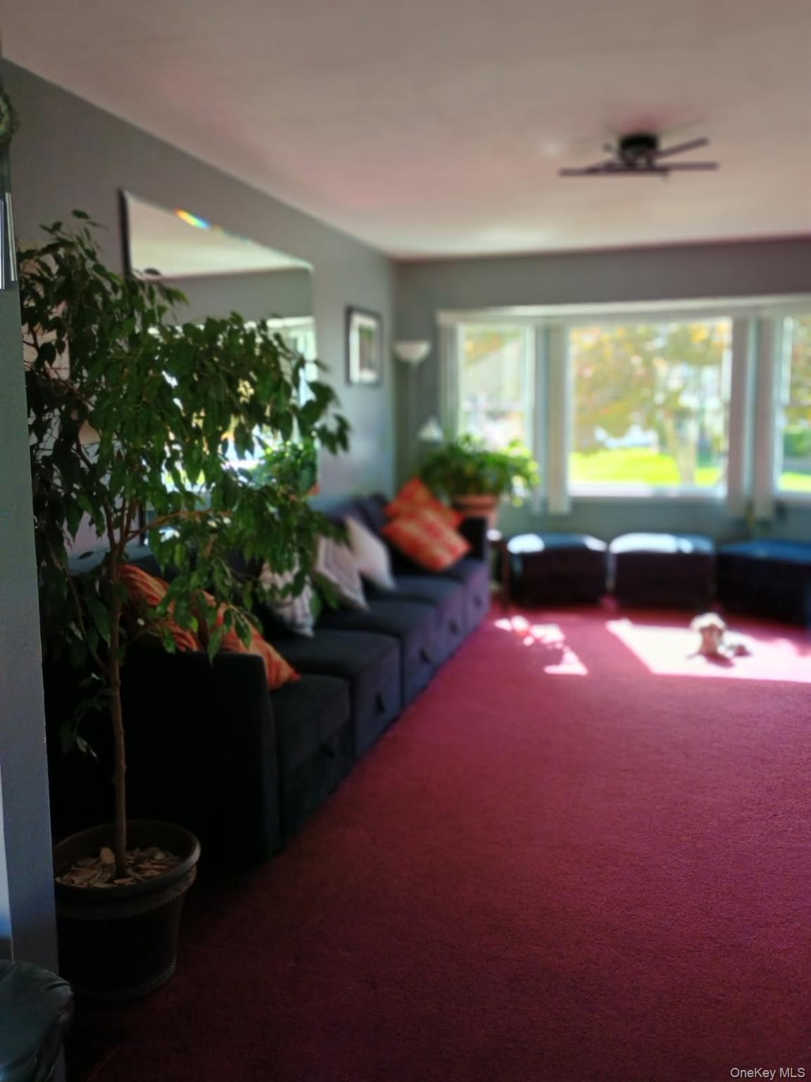 7 Deville Drive Selden, NY 11784 - Photo 3 of 19 a living room with furniture and a large window