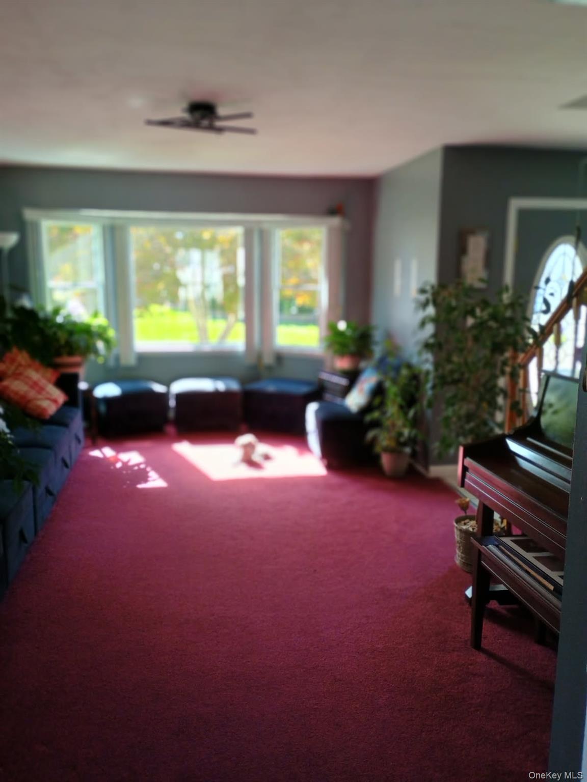 7 Deville Drive Selden, NY 11784 - Photo 4 of 19 a room with furniture and a floor to ceiling window