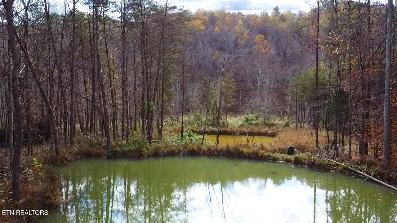 1693 Steve Brown Road Bean Station, TN 37708 - Photo 26 of 36 Upper Pond 2 Reservoir Steve Brown