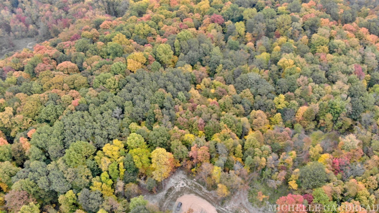 North N Ridge, Unit PARCEL 4 Middleville, MI 49333 - Photo 3 of 9