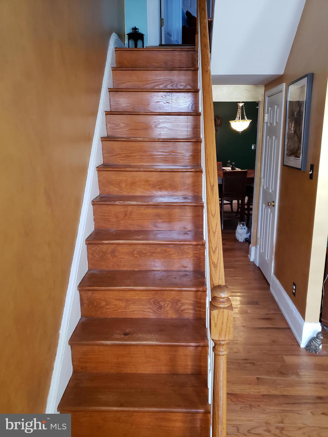 1517 Swain Street Philadelphia, PA 19130 - Photo 3 of 29