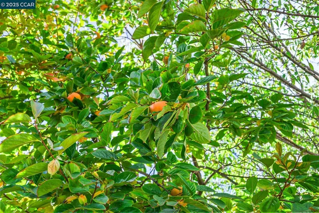 $1,198,000 | 2463 Aarles Court, Walnut Creek, CA 94598