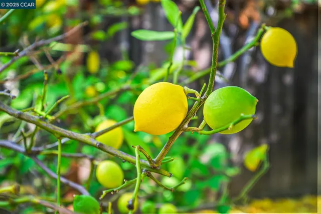 $1,198,000 | 2463 Aarles Court, Walnut Creek, CA 94598