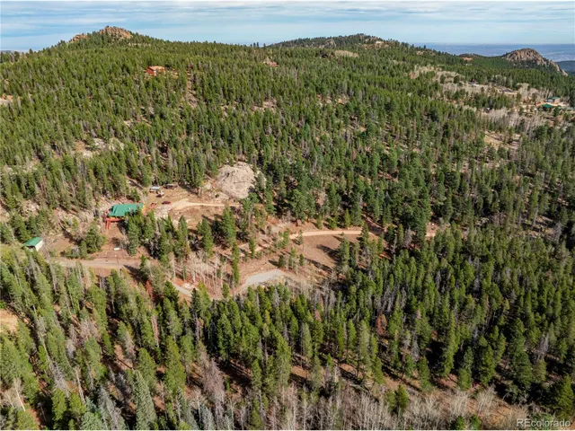 a view of a lush green field with a mountain in the background
