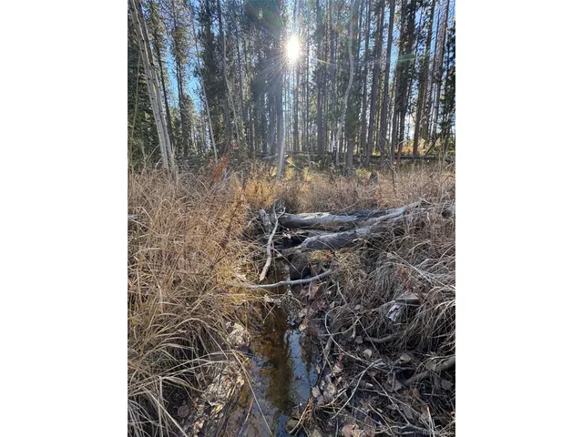 a close up of a shower in a bathroom