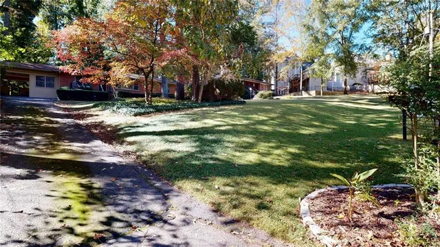 a view of a park with large trees