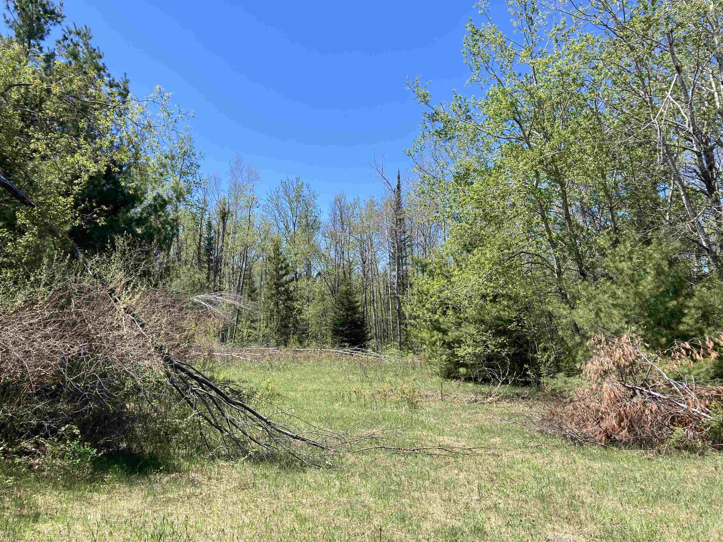 0 West Miller Road Mio, MI 48647 - Photo 7 of 23