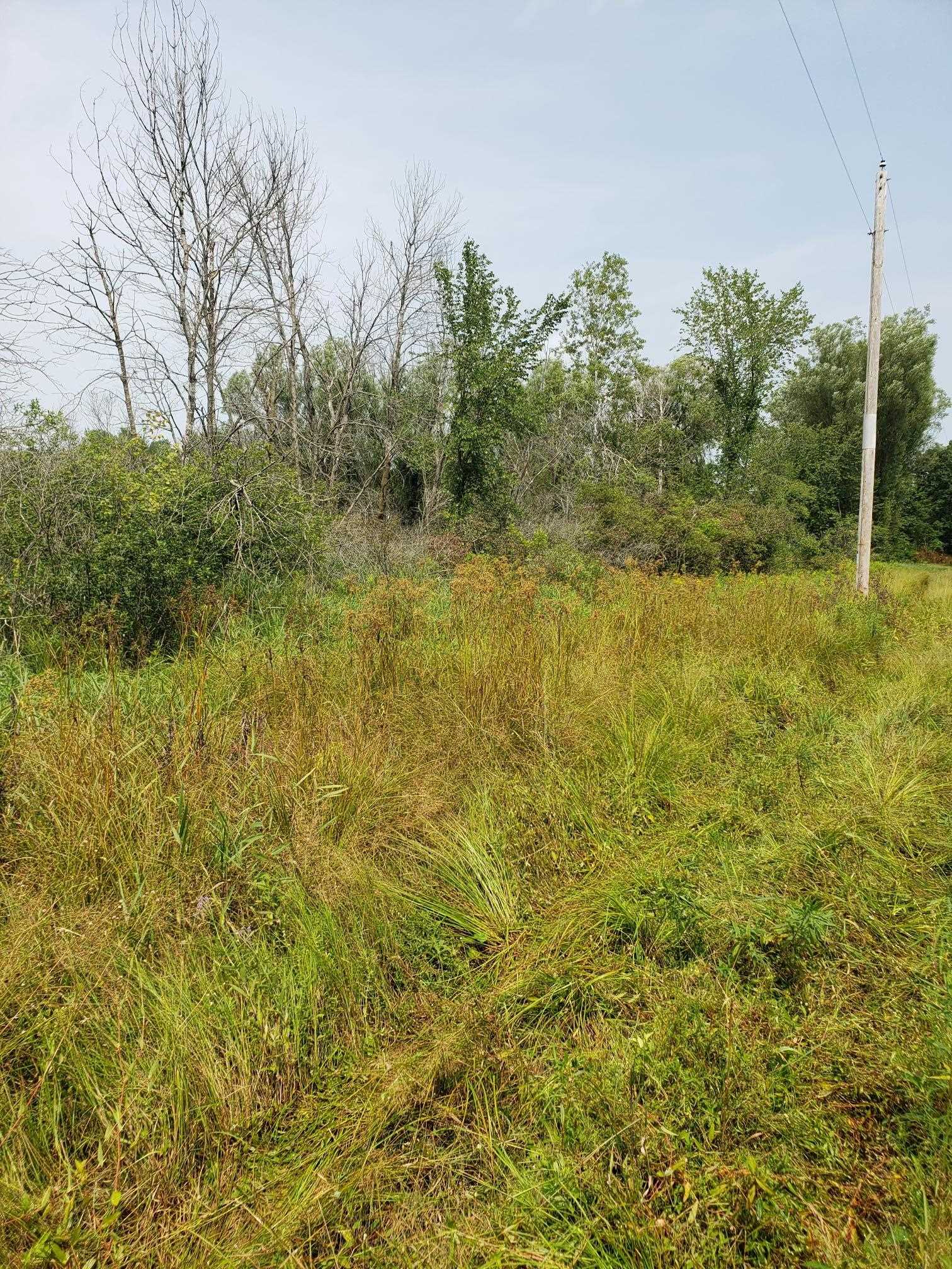 N7712 Church Road Portage, WI 53901 - Photo 26 of 44 Gallery Image 26