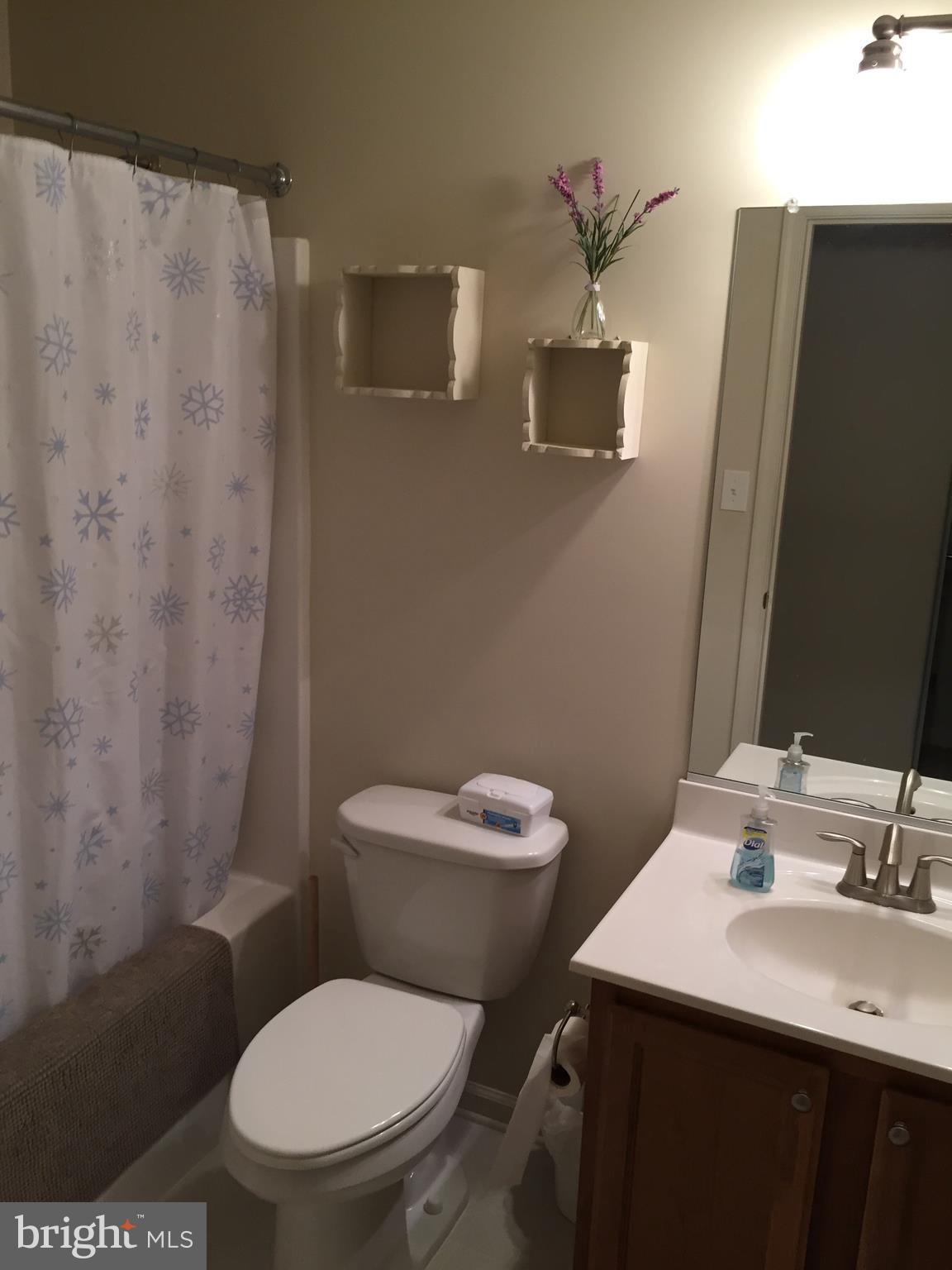5911 Towles Mill Road Partlow, VA 22534 - Photo 22 of 26 Hall Bath