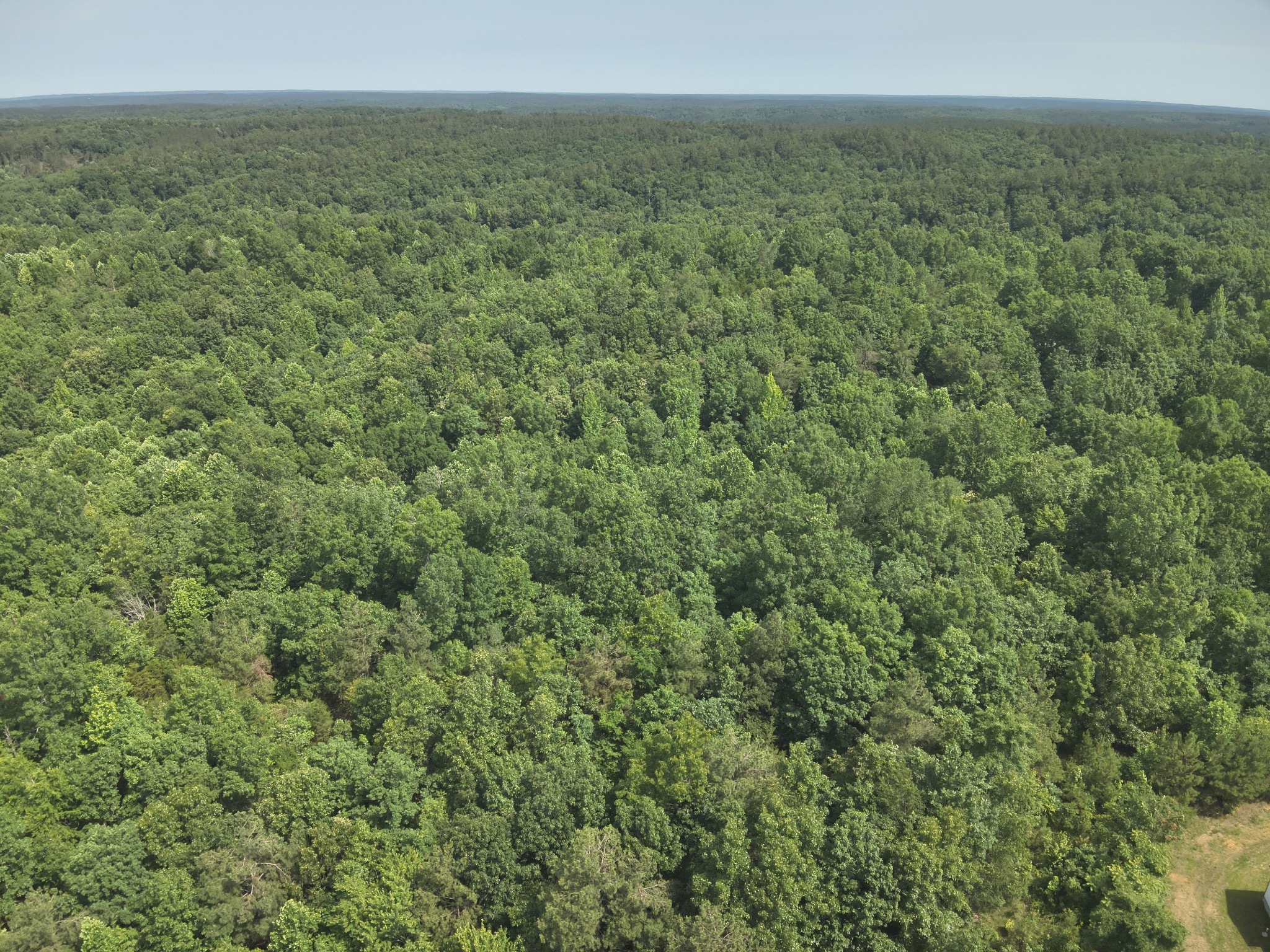 7170 Rockhouse Road Linden, TN 37096 - Photo 18 of 51