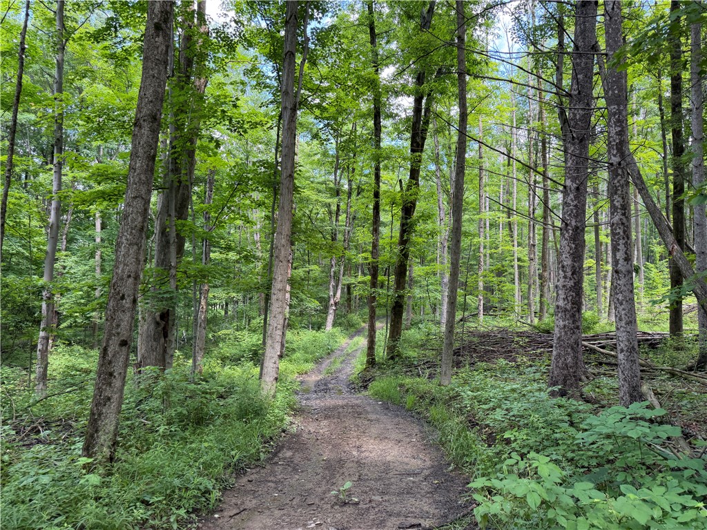6891 Mt Monroe Road New Hudson, NY 14727 - Photo 49 of 50