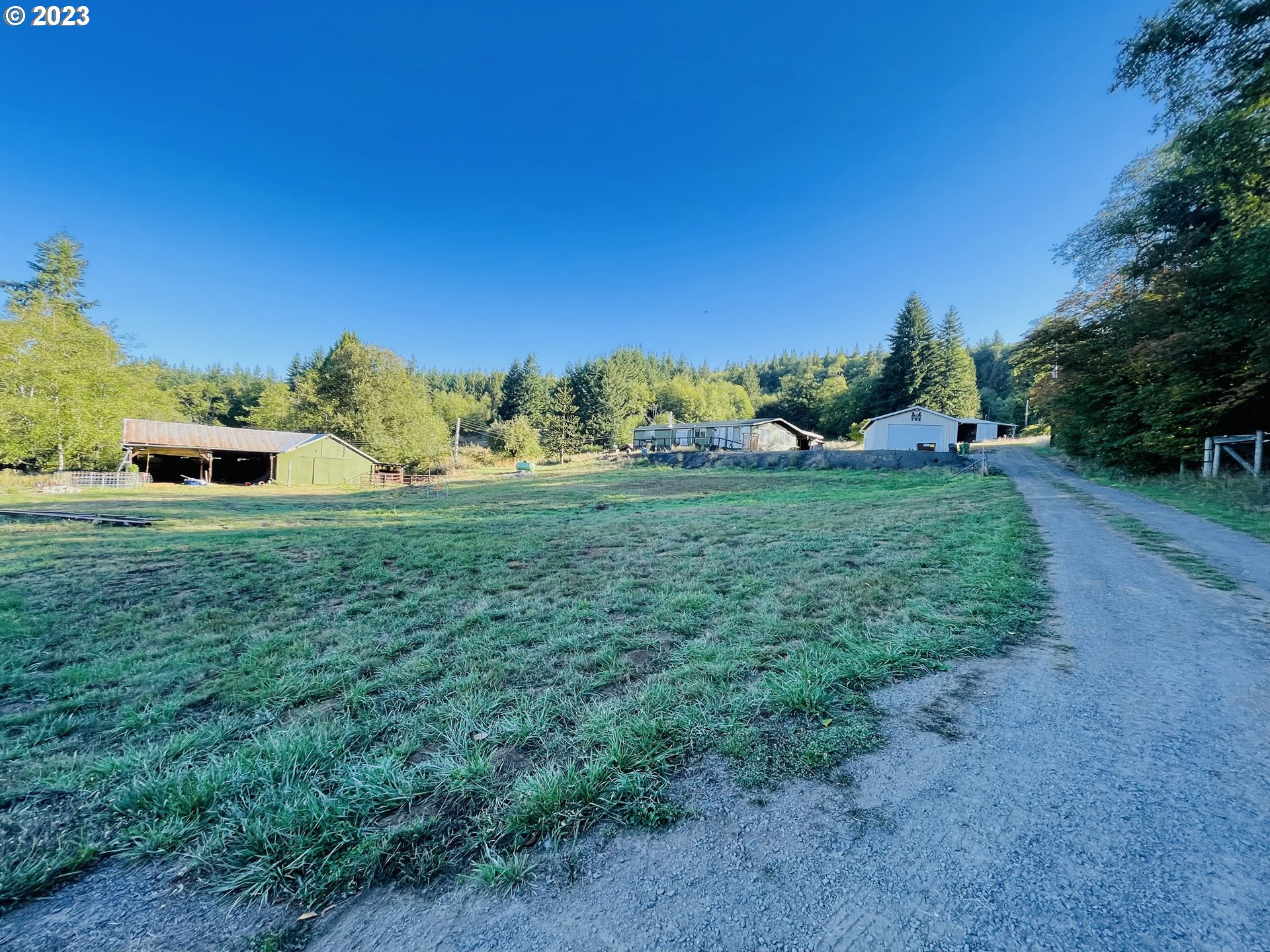 30985 Brownlee Road Rainier, OR 97048 - Photo 1 of 31 a view of a grassy field with trees
