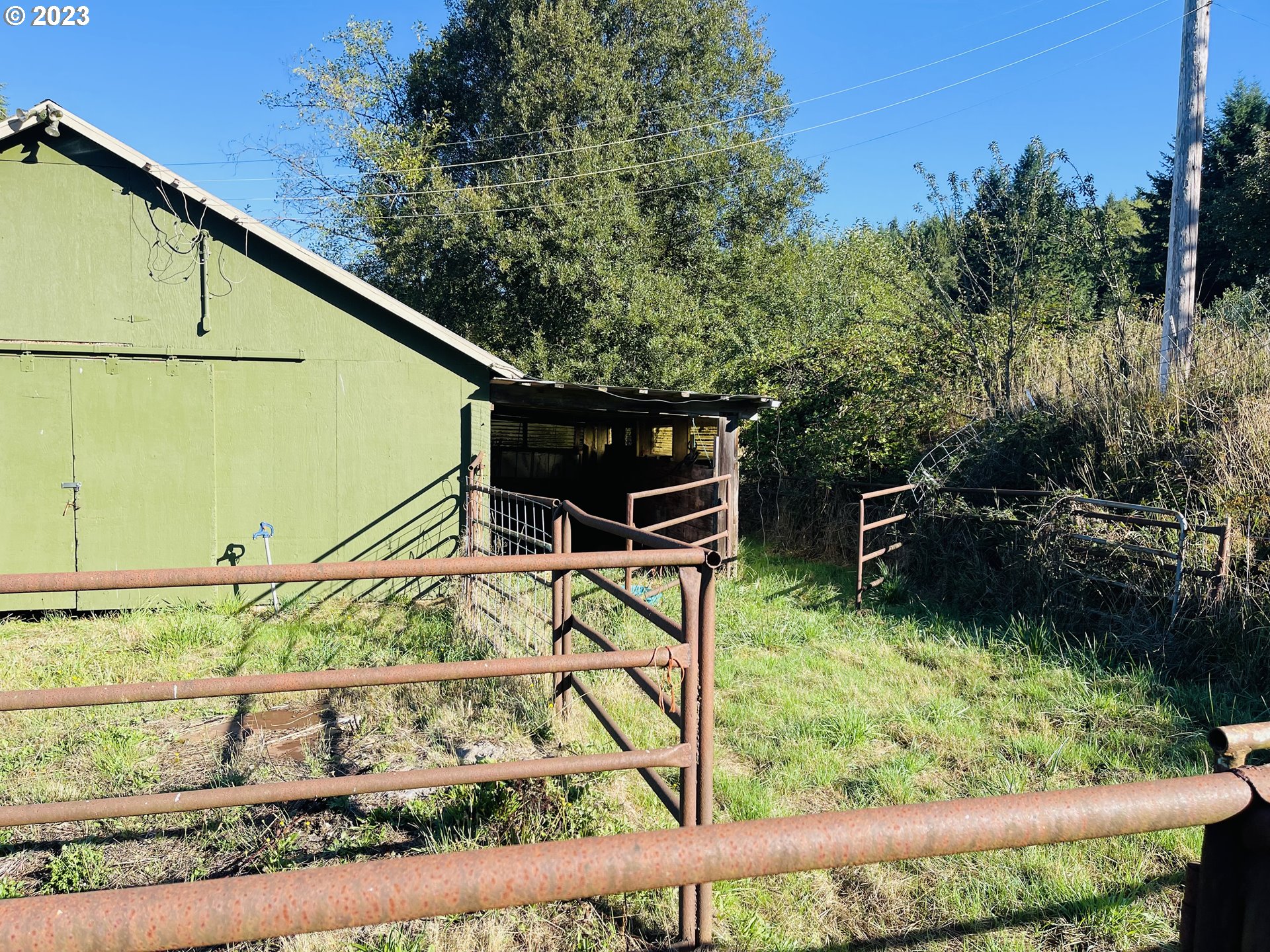 30985 Brownlee Road Rainier, OR 97048 - Photo 23 of 31 a backyard of a house with lots of green space