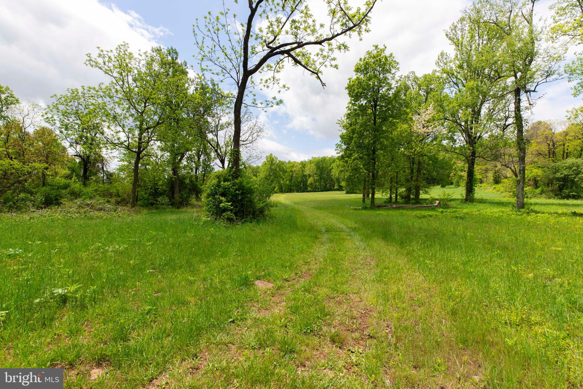 20711 Blue Ridge Mountain Road Paris, VA 20130 - Photo 73 of 82