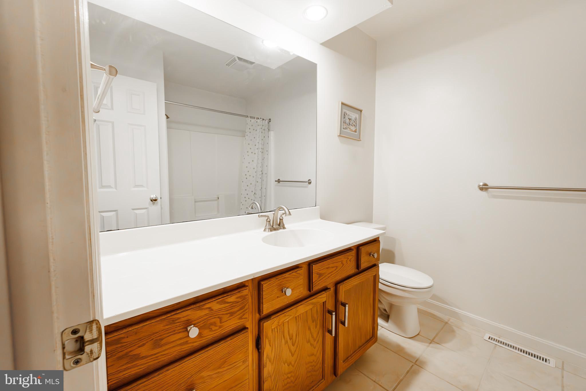280 Raspberry Road Leola, PA 17540 - Photo 31 of 41 a bathroom with a sink a toilet and a mirror