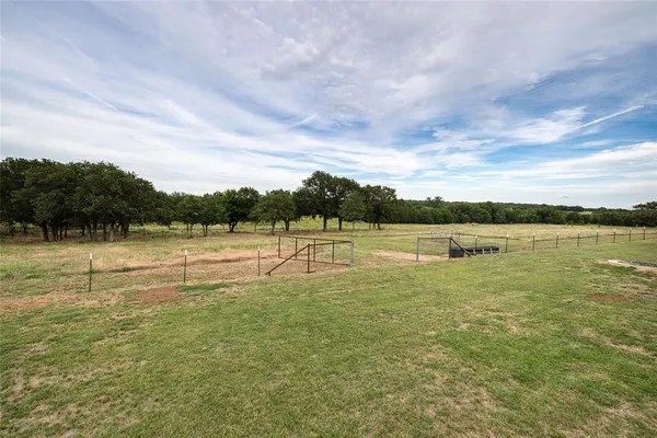 a view of a dry yard